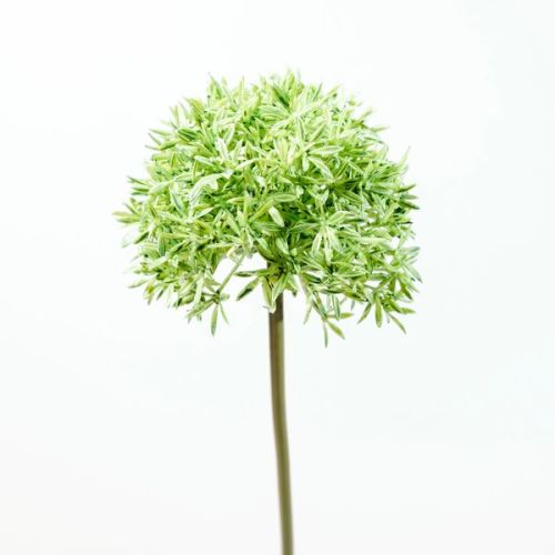 123599